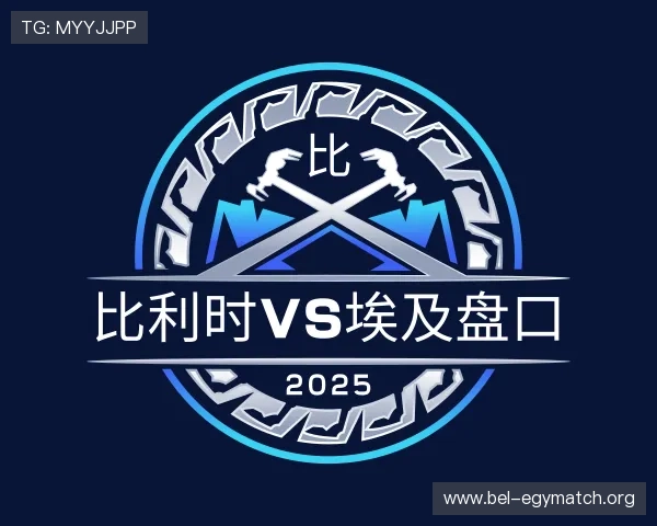 关于比利时vs埃及盘口